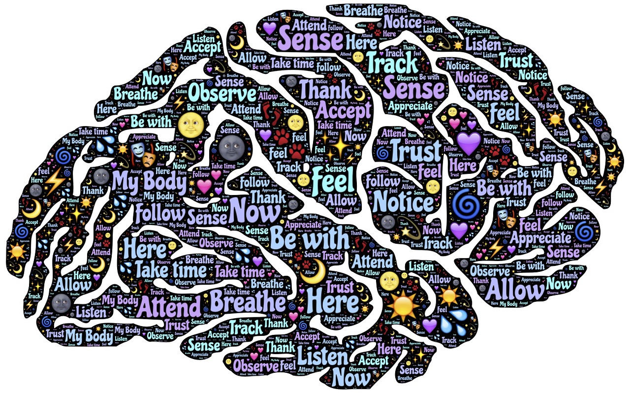 Picture of brain with words in it