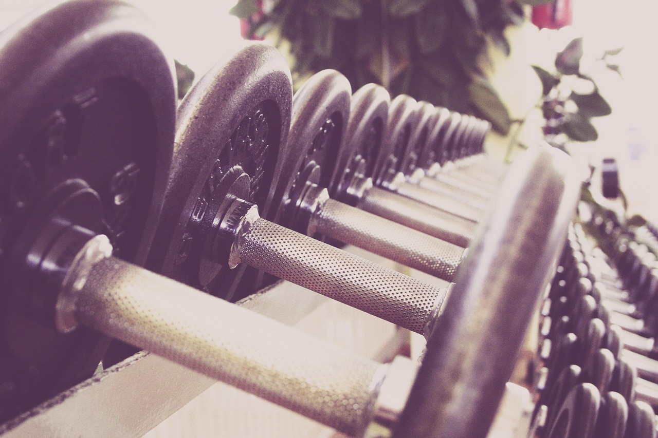 Rack of Dumbbells