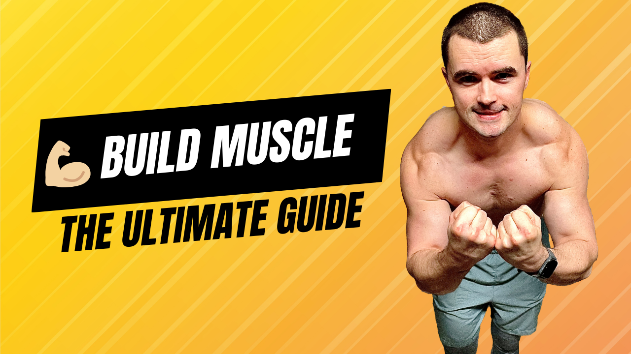 The Ultimate Guide to Building Muscle
